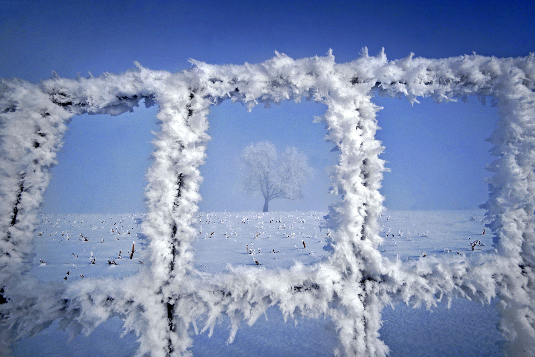 2021_FavoritePhotos_AW_02